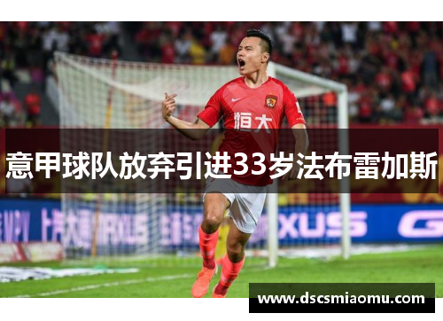 意甲球队放弃引进33岁法布雷加斯